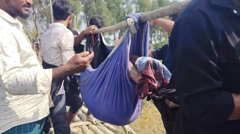 টেকনাফের স্থলমাইন বিস্ফোরণে এক জেলে গুরুতর আহত